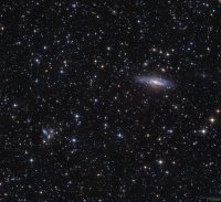 The Deer Lick Group &amp; Stephan's Quintet in Pegasus